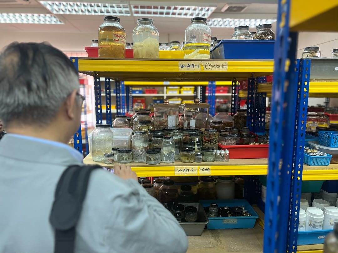 International guests touring the extensive collection room. The facility houses approximately 300,000 natural history specimens, ranging from wet and dry biological samples to geological and paleontological materials.