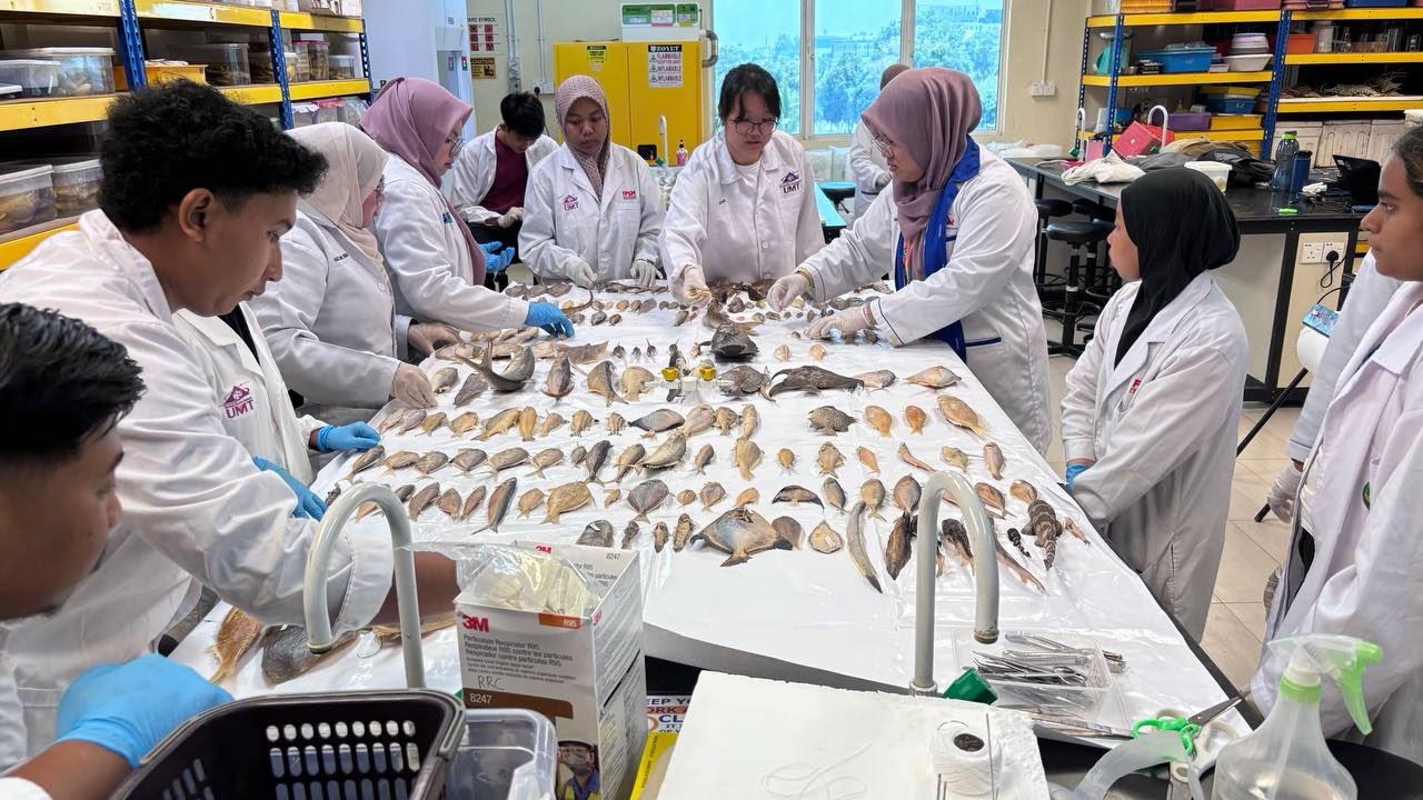 Node Spotlight: OBIS Malaysia, turning Malaysia's largest marine collection into global open data