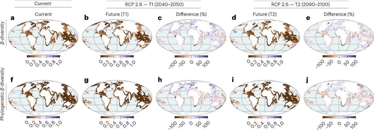 Fig2